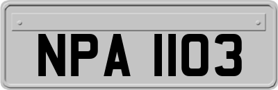 NPA1103