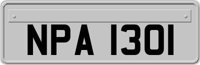 NPA1301