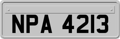 NPA4213