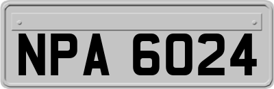 NPA6024