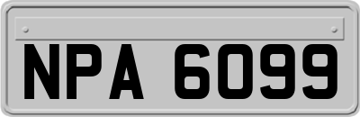 NPA6099