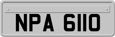 NPA6110
