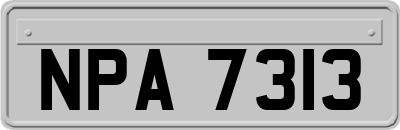 NPA7313