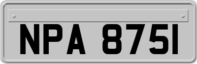 NPA8751