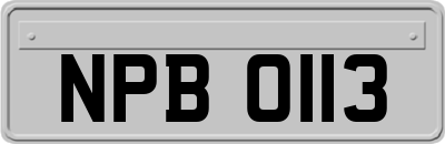 NPB0113