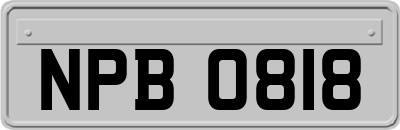 NPB0818