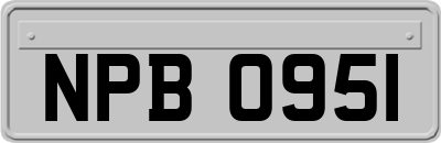 NPB0951