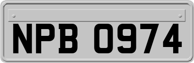 NPB0974