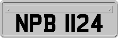 NPB1124