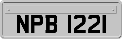 NPB1221