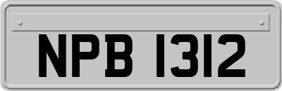NPB1312