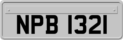 NPB1321