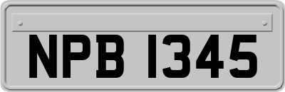 NPB1345