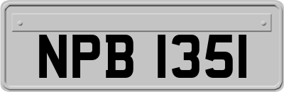 NPB1351
