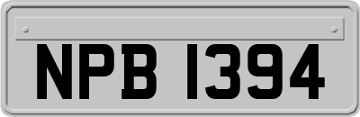 NPB1394
