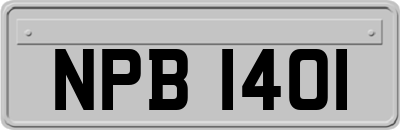 NPB1401