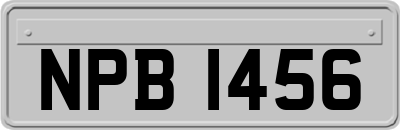 NPB1456