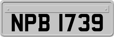 NPB1739
