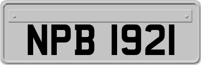 NPB1921