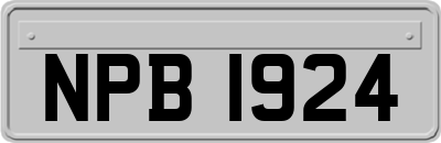 NPB1924