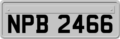 NPB2466
