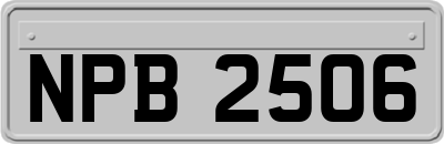 NPB2506