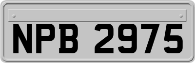 NPB2975