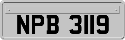 NPB3119