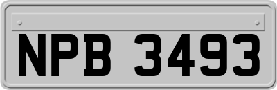 NPB3493