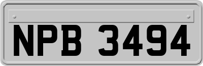 NPB3494