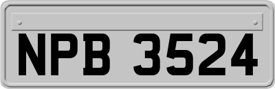 NPB3524