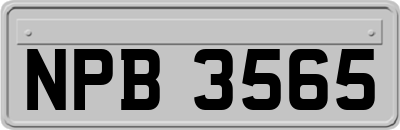 NPB3565