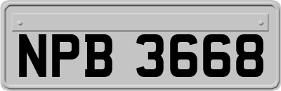 NPB3668