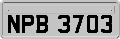NPB3703