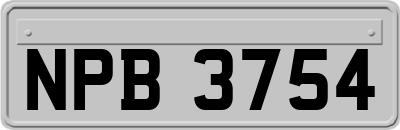 NPB3754