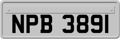 NPB3891