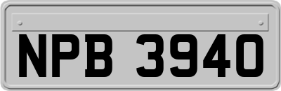 NPB3940