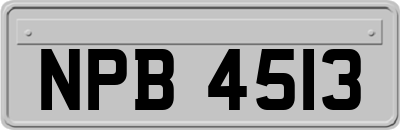 NPB4513