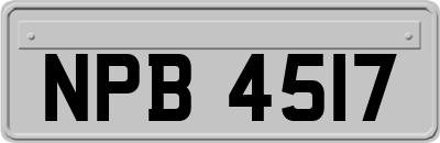NPB4517