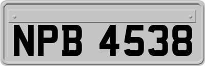 NPB4538