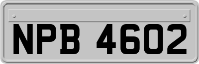 NPB4602