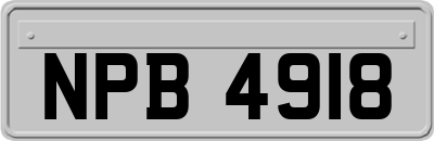 NPB4918