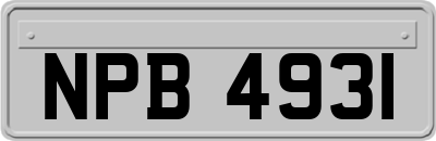 NPB4931