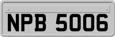 NPB5006