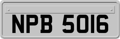 NPB5016