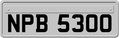 NPB5300