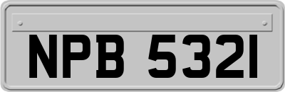 NPB5321