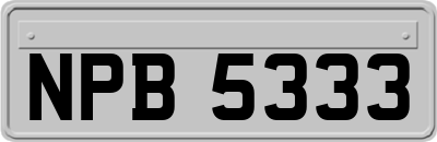 NPB5333