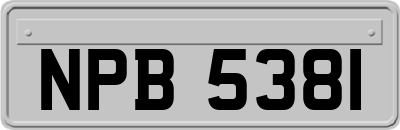 NPB5381
