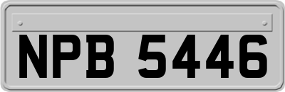 NPB5446